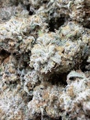 Z Bangah | Stony Brook Organics