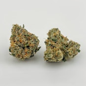 Focus North | Flower [H] | Runtz (7409)