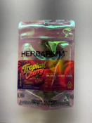 HERBARIUM | Tropical Cherry | 7g Mylar