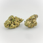 Koru Cannabis | Flower [S] | Plasma Lazer Horse (0532)