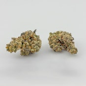 Black Sheep Cultivation | Flower [S] | Ben and Garys (1490)