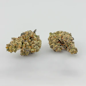 Benson Arbor - Benson Arbor | Flower [S] | Where's My Bike? (9976)