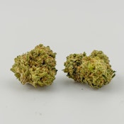 Williams Wonder | Flower [H] | Animal Cookies (9144)