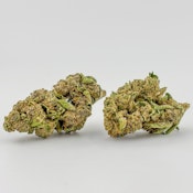 Williams Wonder | Flower [H] | Royal Feast (9009)