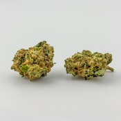 Williams Wonder | Flower [I] | Oreo Breath (9146)