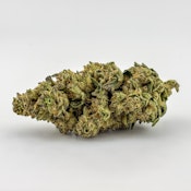 Williams Wonder | Flower [I] | Roasted Garlic Margy (9143)