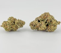 Williams Wonder | Flower [I] | Scary Cherries