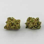 Williams Wonder | Flower [S] | Superboof (9147)