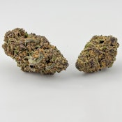 Willliams Wonder | Flower [S] | Blockberry (9142)