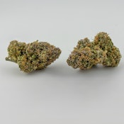 Emerald Cannabis Worx [I] | Mountain Blueberry (0480)