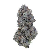 Skunq - Plum Haze 10g smalls