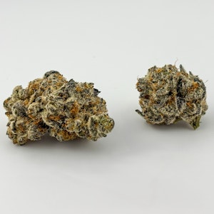 Koru Cannabis - Koru Cannabis | Flower [S] | Purple Stardawg (9642)