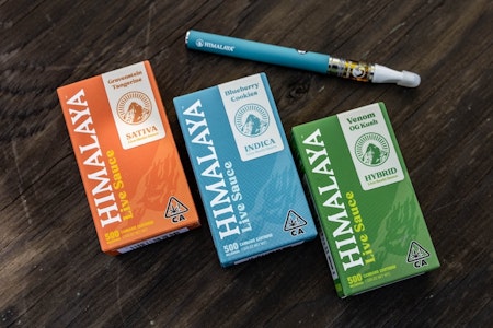 HIMALAYA - Cherry Stout - Live Sauce - .5g (H) - Himalaya