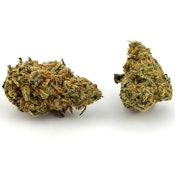 KBM Farms | Flower [S] | Nigerian Amnesia (5648)