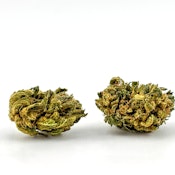 Benson Arbor | Flower [S] | Space Traveler (3238)