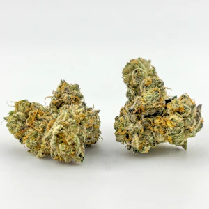 FOCUS NORTH - Focus North | Flower [I] | Bomb Sauce (8541)