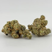 Koru Cannabis | Flower [H] | Cunning Linguist (1447)