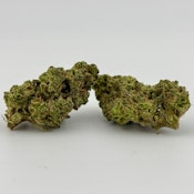 TKO | Flower [I] | Grease Trap (8372)