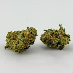Williams Wonder - Williams Wonder | Flower [I] | GMO Candy (9446)
