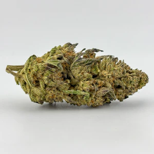 Williams Wonder - Williams Wonder | Flower [I] | Roasted Garlic Margy (9449)