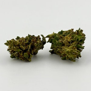 Williams Wonder - Williams Wonder | Flower [S] | Pineapple (9268)