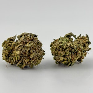 Williams Wonder - Williams Wonder | Flower [S] | Tropicana Cherries (9450)