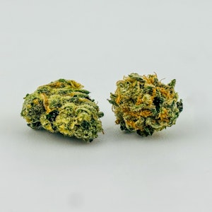 Derby's Farm - Derbys | Flower [I] | GMO (8206)