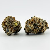 Koru Cannabis | Flower [H] | Drippin D*ts (1449)