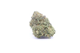 Gas Station - Zangria (I Hybrid) Buds - 1g