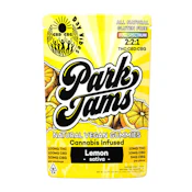 Park Jams - Edible - Gummies - Lemon Day Vibes CBD CBG - 100mg