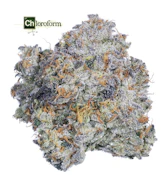 Chloroform - 3.5g (I) - Fig Farms