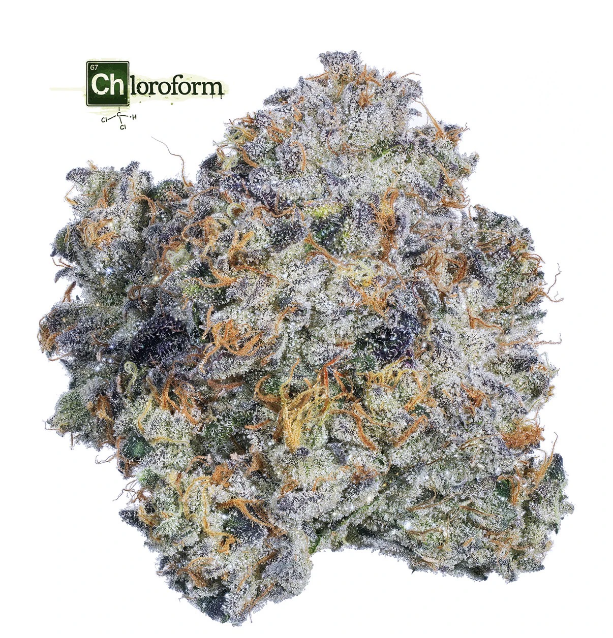 Fig Farms - Chloroform - 3.5g (I) - Fig Farms Main Image