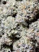 Chem '91 | Essentials Maine