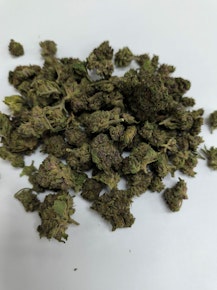 Green Mitten | Gorilla Glue | 14g Prepack