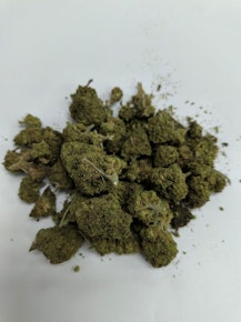Dragonfly | Hypnotic | 14g Prepack