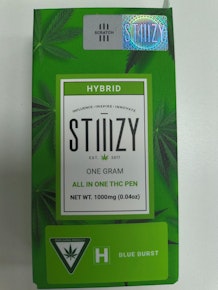 Stiiizy | Blue Burst | 1g AIO