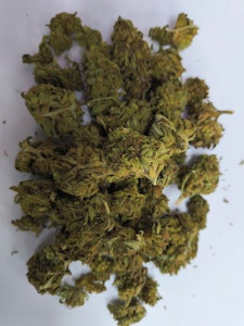 JSBH - JSBH | Orange Cream Pop | 14g Preapack