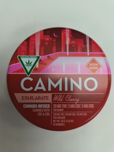 CAMINO - Camino | Wild Cherry | 200mg Gummies