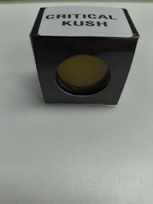 Bossy | Critical kush | 1g Concentrate