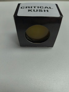 Bossy - Bossy | Critical kush | 1g Concentrate