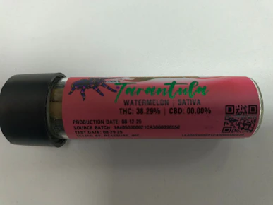 Cali-Blaze | Watermelon | 3Pk Tarantula