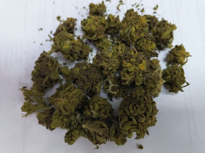 JSBH -  JSBH | Sour Peaches | 14g Prepack