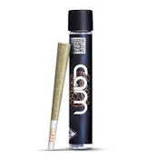 CAM - Preroll - Indoor - Communion - 1g