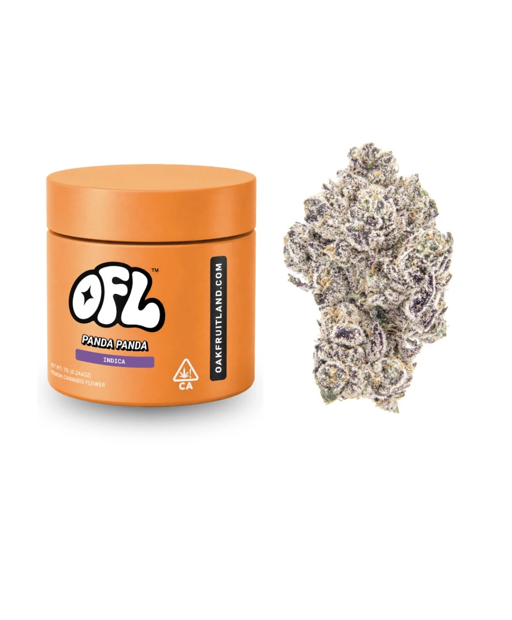 Oakfruitland (OFL) - OAKFRUITLAND - 7G Panda Panda (I) Main Image