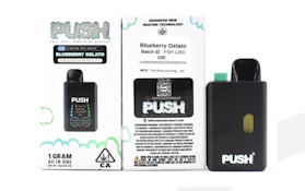PUSHpen - Disposable - Distillate - Blueberry Gelato - 1g