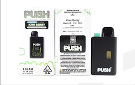 PUSHpen - Disposable - Distillate - Kiwi Berry - 1g