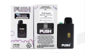 PUSHpen - Disposable - Distillate - Pink Guava - 1g