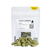 Lolo - Flower - Indoor - Lolo Lemon Smalls - 3.5