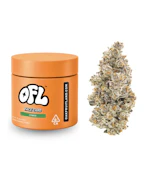 OAKFRUITLAND - 7G Face Card (H)
