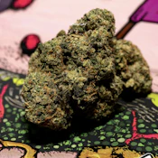 TEDS - 3.5G Nasty Patty